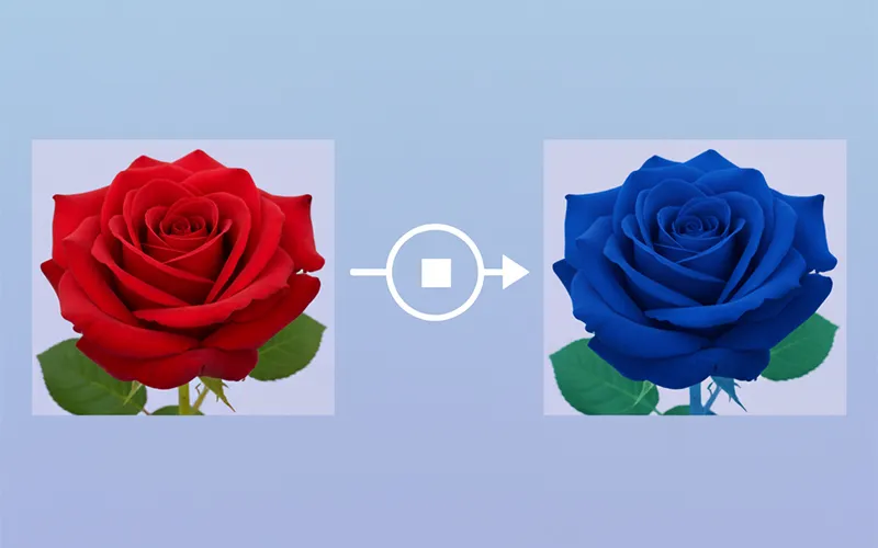 Smart Color Replacement Tool
