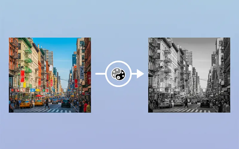 Black and White Photo Conversion Tool